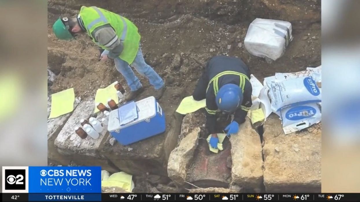 Toxic chemical drums unearthed at Long Island park: 'Graveyard for contamination'