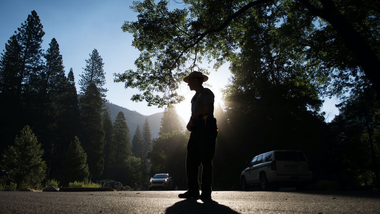 Trans biologist fired from Yosemite National Park after stunt with transgender flag