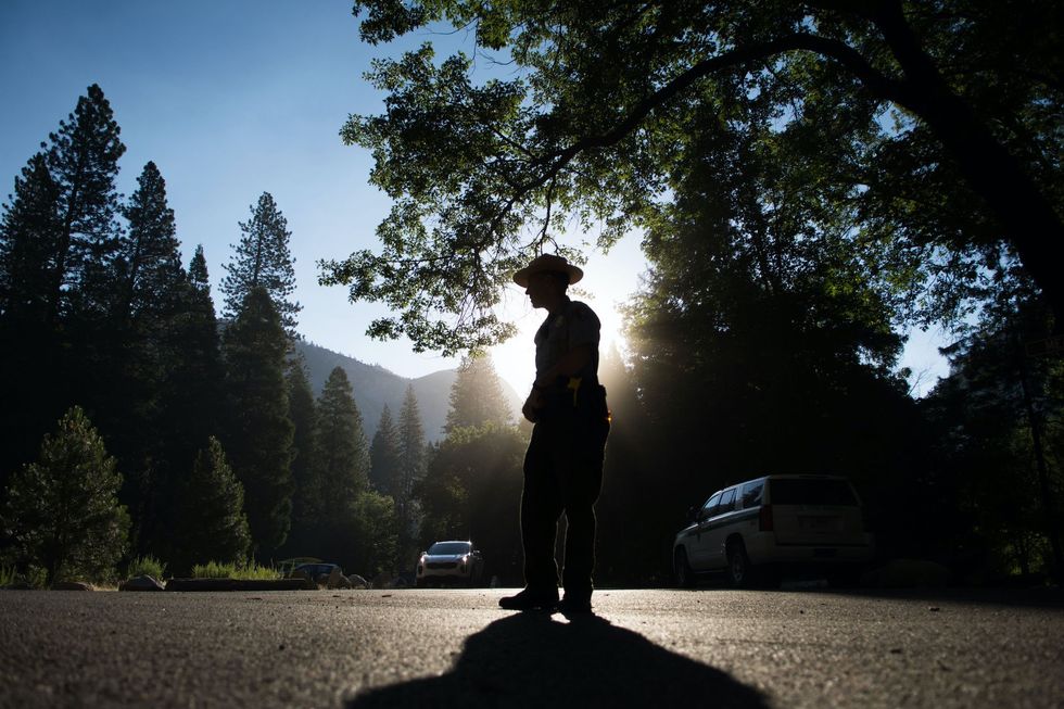 Trans biologist fired from Yosemite National Park after stunt with transgender flag
