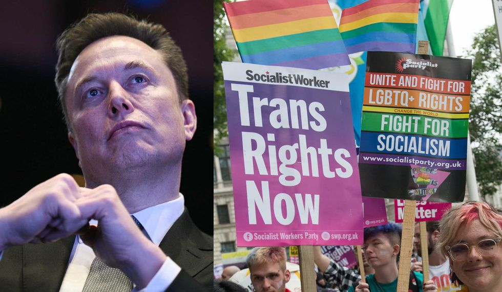 Trans-identifying liberal seems to call for DEATH of Elon Musk over comment about Zizian trans cult