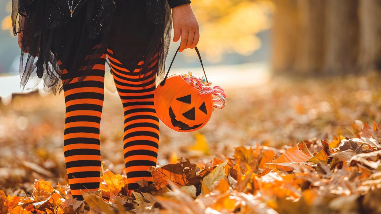 Trick-or-treating canceled due to 'nasty' cockroach infestation in Michigan neighborhood