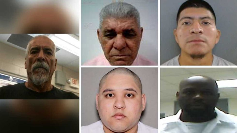 'Truly sick individuals': ICE arrests convicted murderer and sexual predators