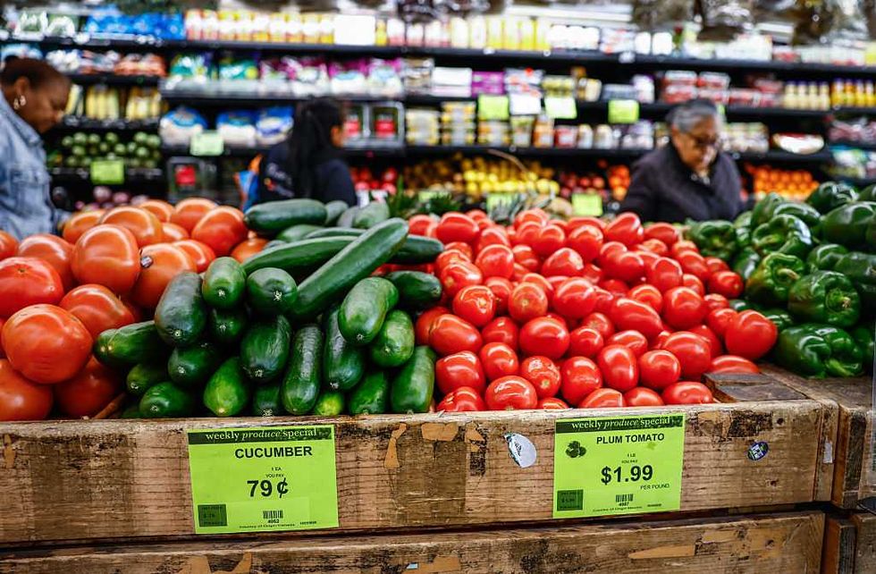 Trump admin blames Senate Democrats for SNAP debacle: 'The well has run dry'
