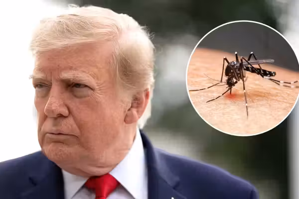 Trump declares war on 'foreign, invasive' enemy