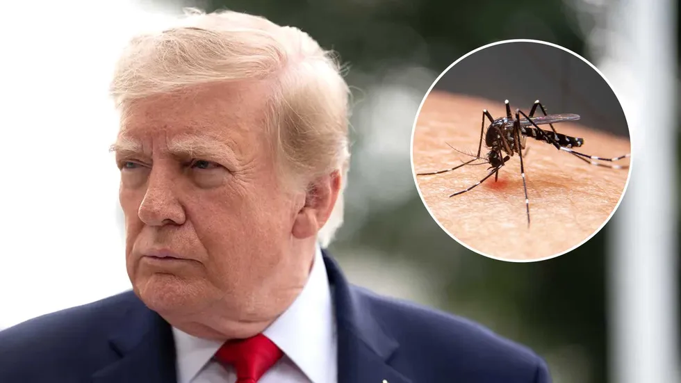Trump declares war on 'foreign, invasive' enemy
