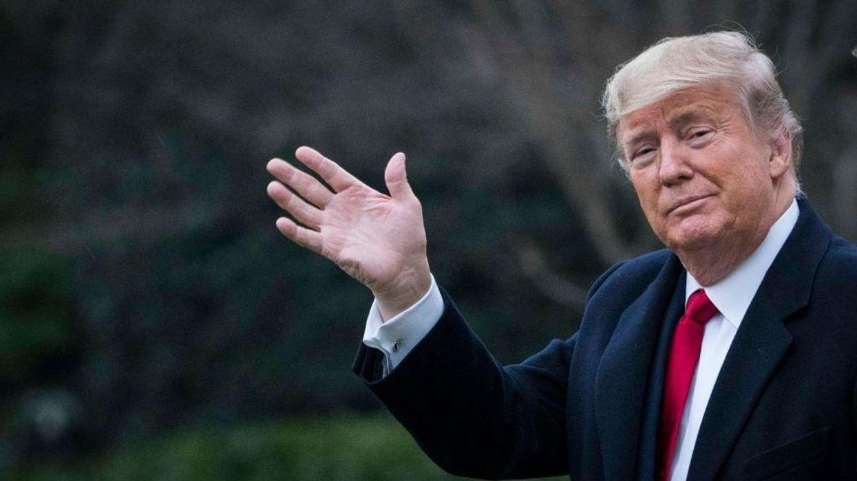 Trump expertly trolls New York Democrats with resounding 'endorsements' — and their opponents quickly take the bait