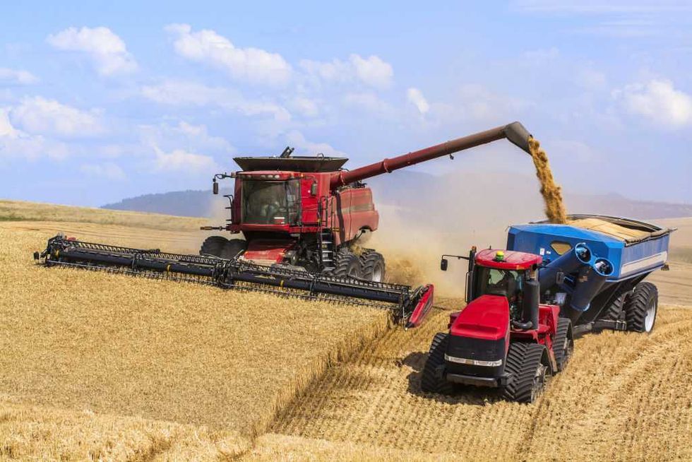 Trump gives American farmers $12 billion boost to overcome inflation, trade wars