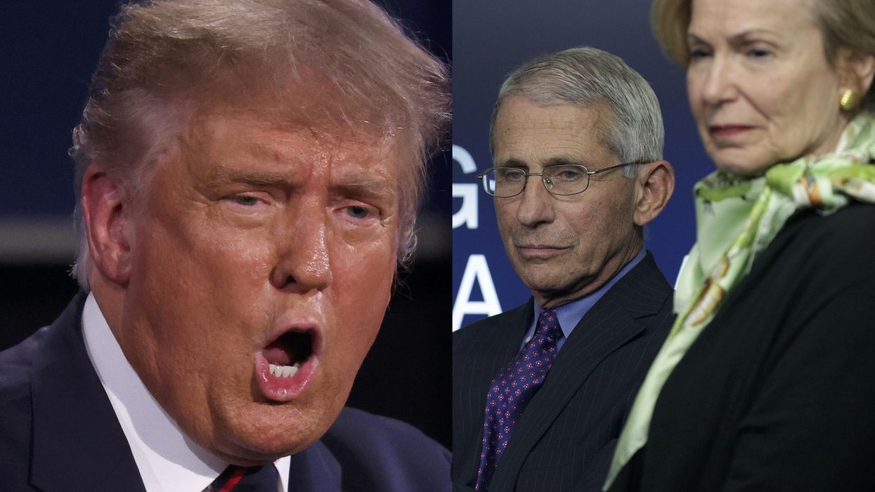 Trump issues scathing statement calling Dr. Birx 'a proven liar' and blasting Dr. Fauci as the 'king of flip flops'
