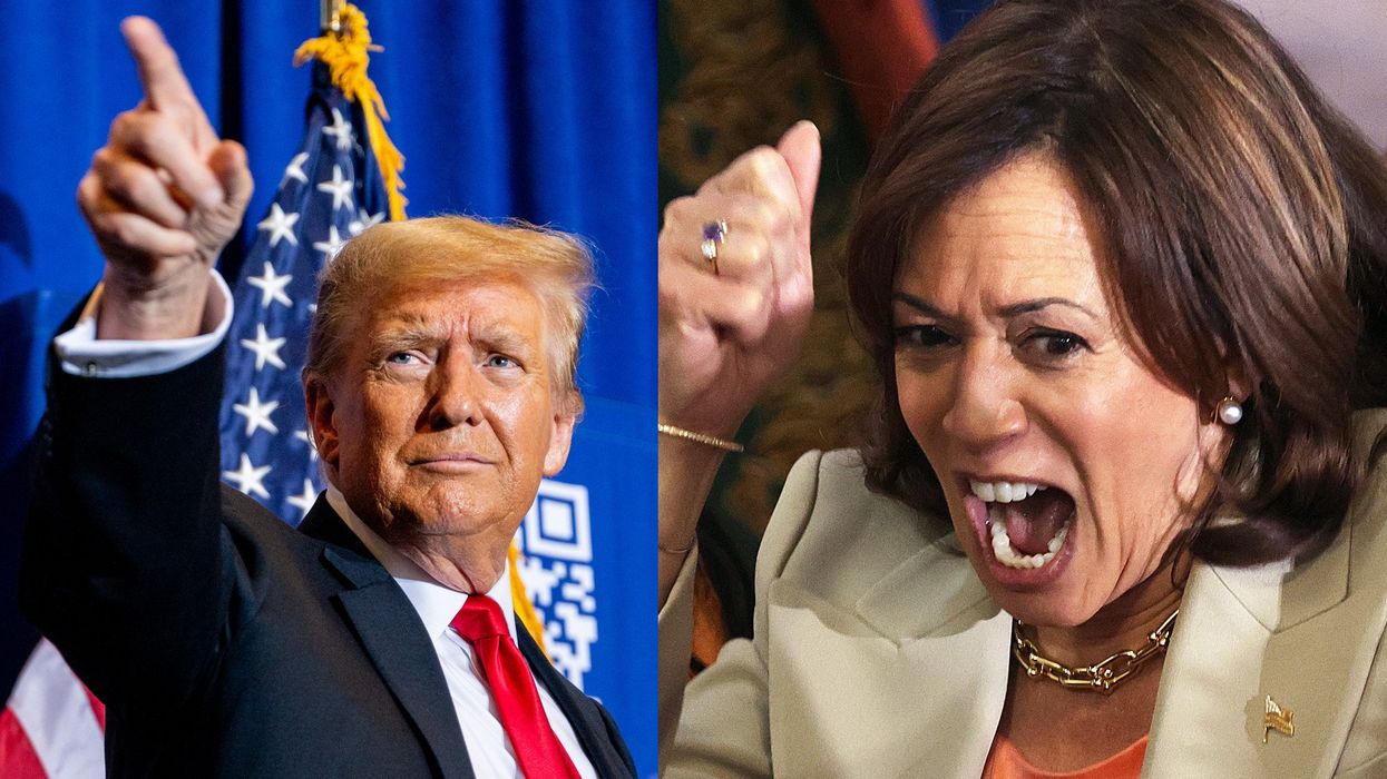 Trump trouncing Harris in pivotal state, new poll finds