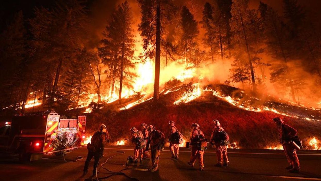Trump vindicated? California to spend billions to clear out forests, remove wildfire fuel
