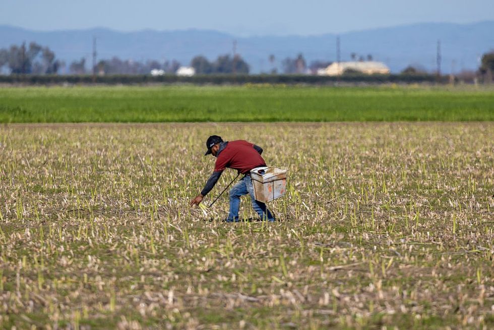 Trump’s climate policy shift could save American farmers from disaster