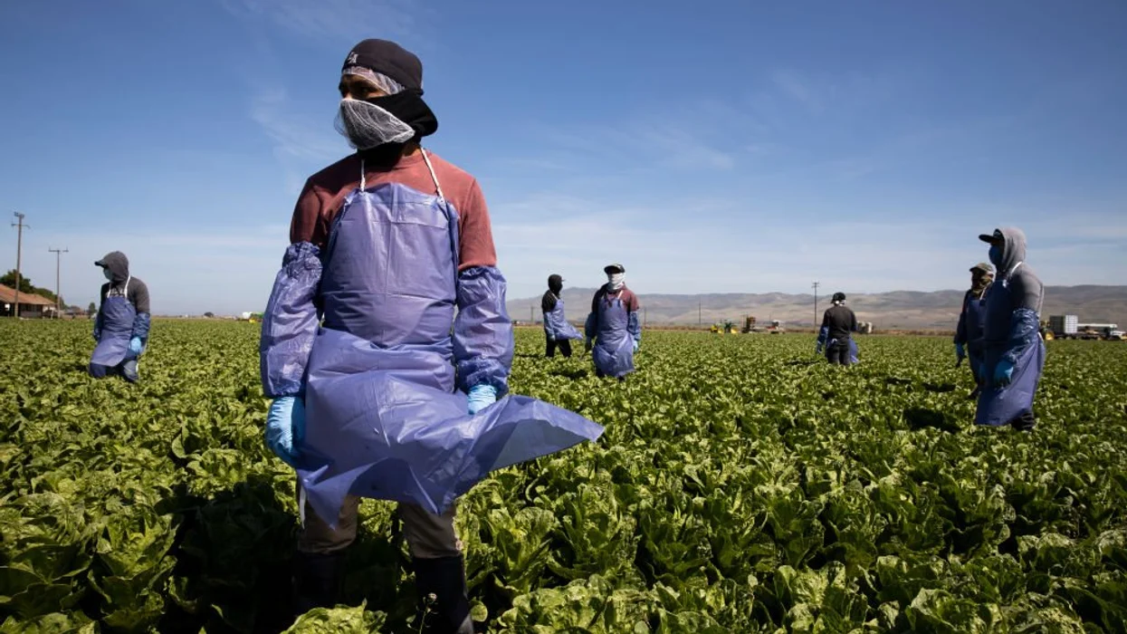 Trump’s ICE shields farmers from raids, then reverses course to deliver on mass deportation promise