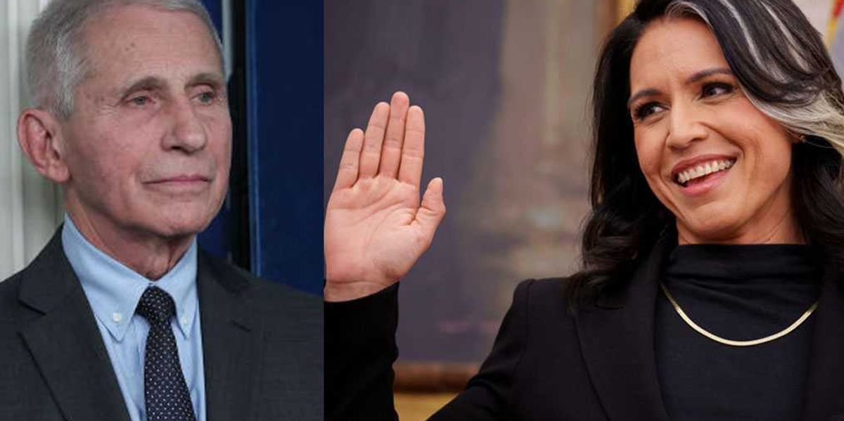 Tulsi Gabbard pulls the curtain on Fauci's COVID narrative on her final day in office