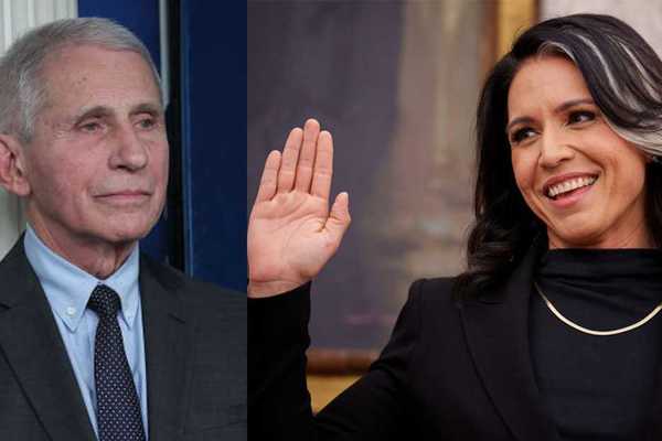 Tulsi Gabbard pulls the curtain on Fauci's COVID narrative on her final day in office