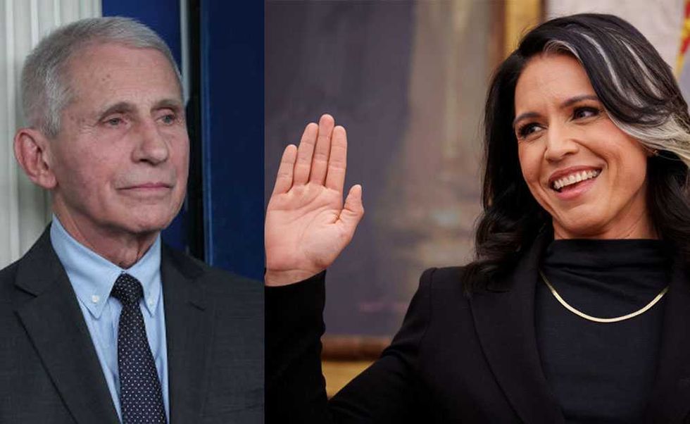 Tulsi Gabbard pulls the curtain on Fauci's COVID narrative on her final day in office