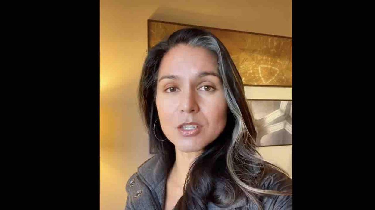 Tulsi Gabbard says Jussie Smollett 'spit in the face of real victims of bigotry' and should receive maximum sentence as 'warning' for 'future hoaxers'