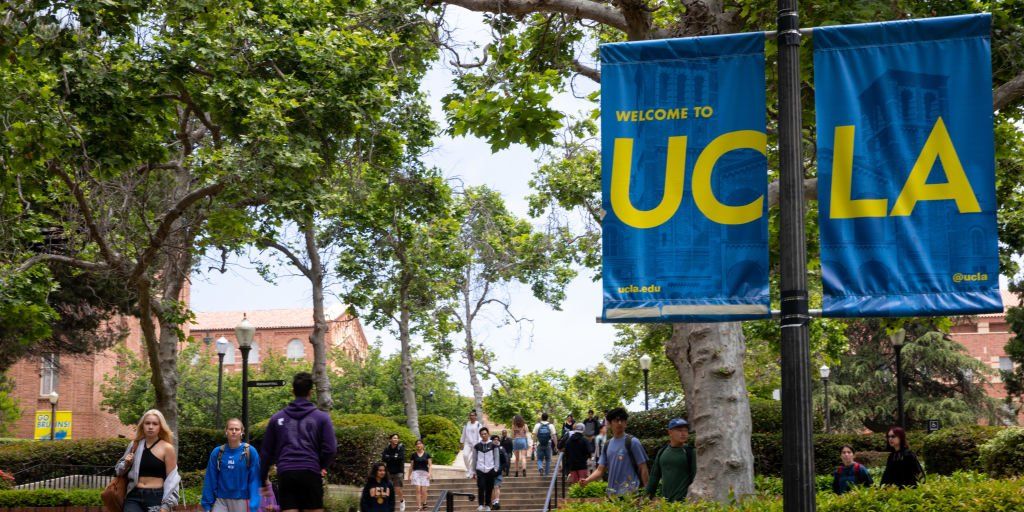 UCLA School of Medicine's radical DEI czar clumsily plagiarized vast portions of her dissertation on DEI: Report - Vimarsana News