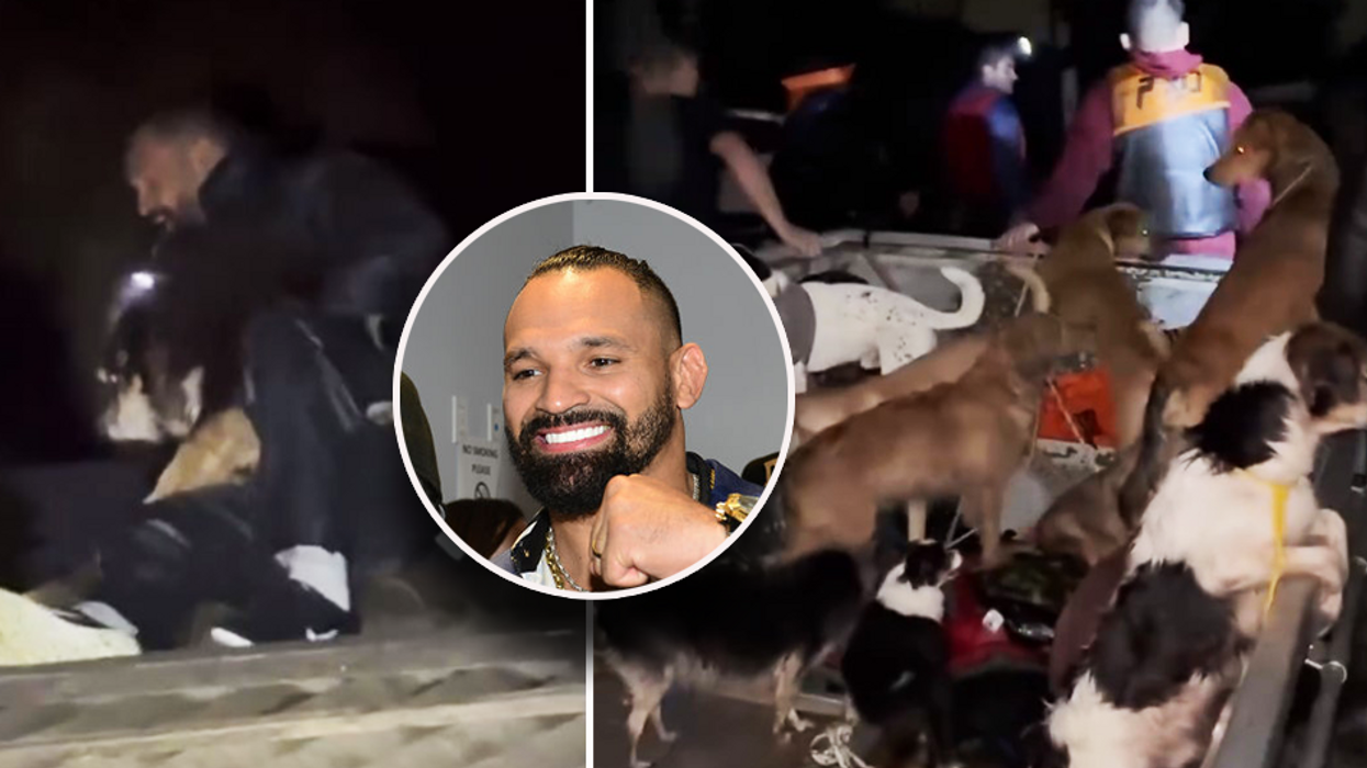 UFC fighter Michel Pereira is rescuing dozens of dogs that were left behind during Brazil's massive floods