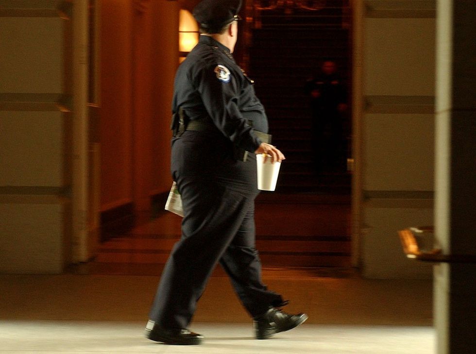 Unfit for duty: Chubster cops weigh down American policing