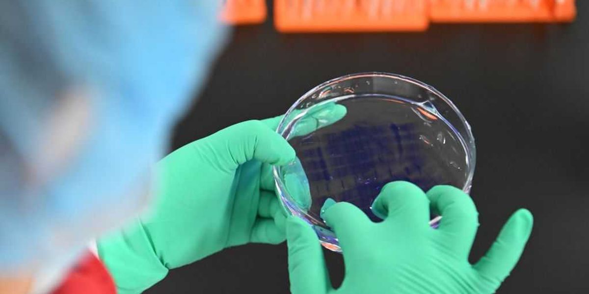 University of Michigan's bio-smuggling scandal explodes: More Chinese scholars busted in alleged plot