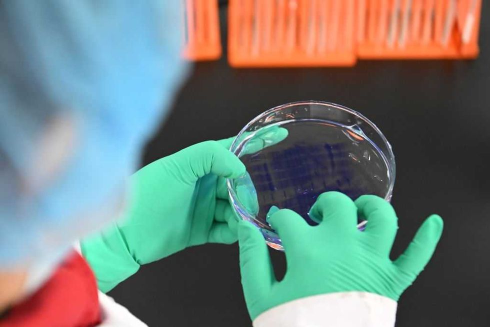 University of Michigan's bio-smuggling scandal explodes: More Chinese scholars busted in alleged plot