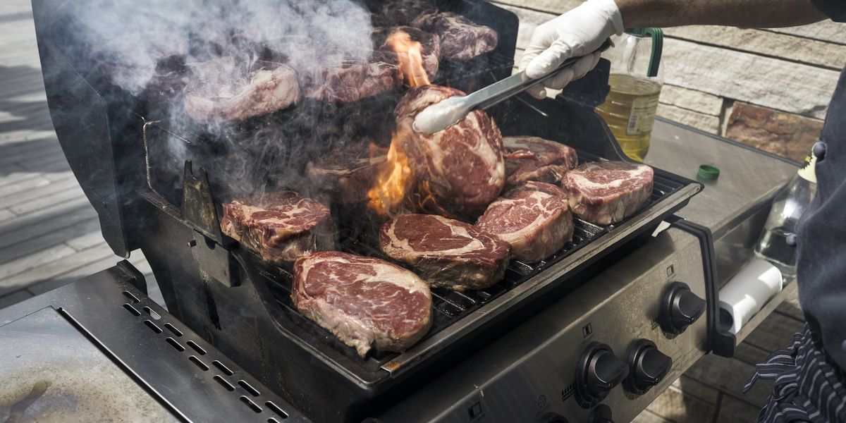 Vanity Fair mocked online for blaming MAGA for ‘undeniably gendered’ ‘protein mania’ Vanity Fair mocked online for blaming MAGA for ‘undeniably gendered’ ‘protein mania’