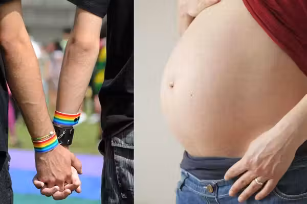 'Very s***ty': Gay couple sue surrogate mother who REFUSED to abort baby with minor birth defect: Report