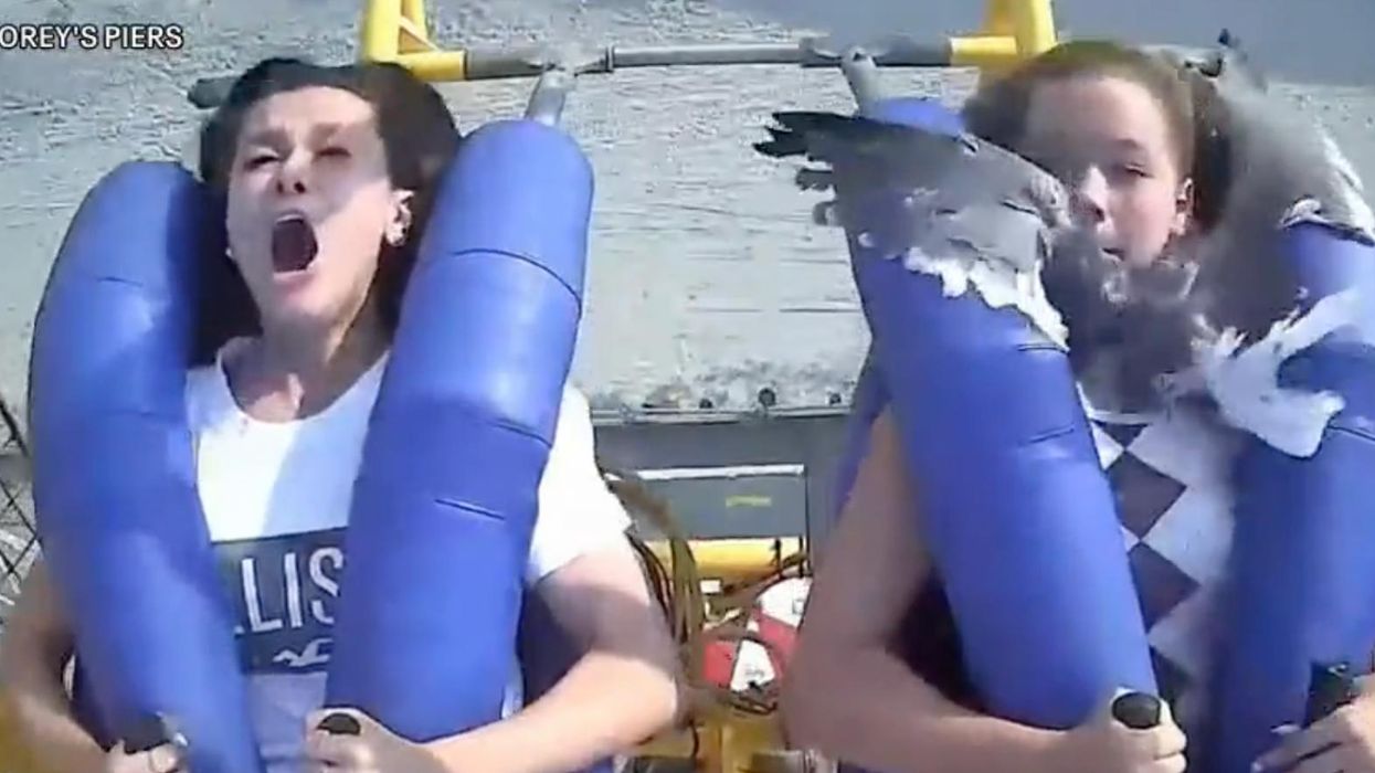 Video captures moment a teen ends up with a face full of seagull while going 75 mph on a slingshot ride at the boardwalk
