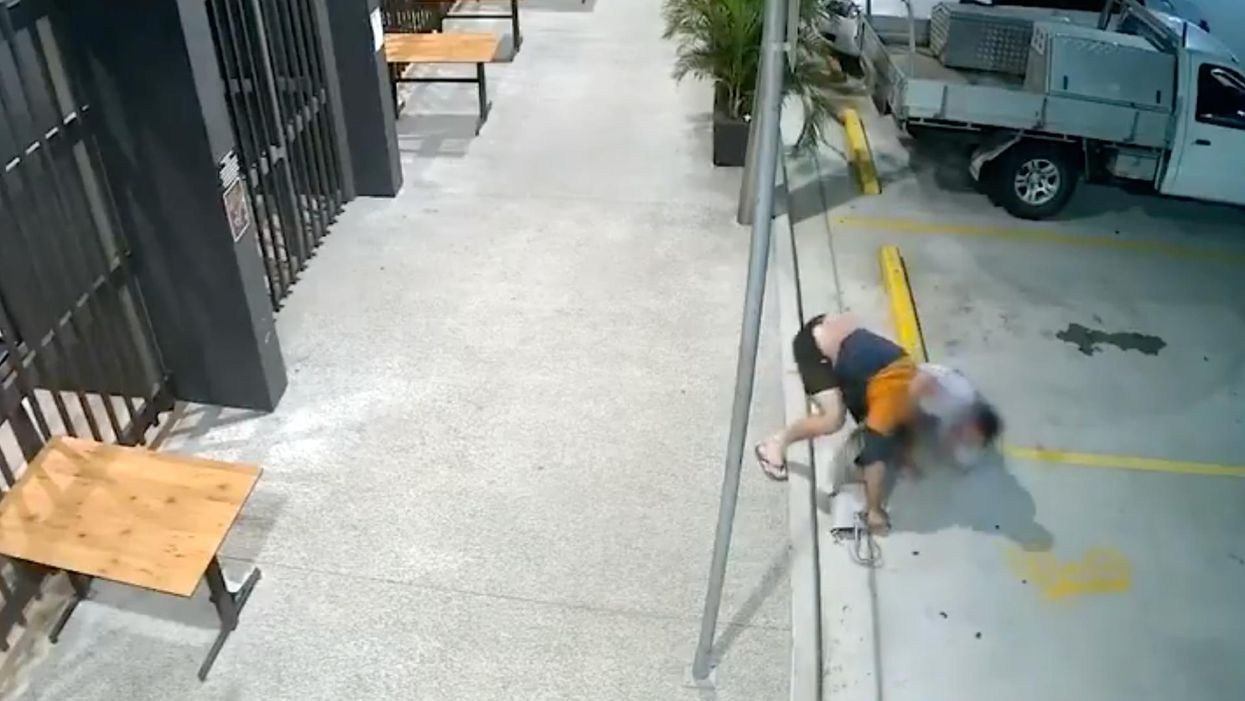 Video captures the moment grandmother chases, tackles purse-snatcher and slams him to the ground before taking back her bag