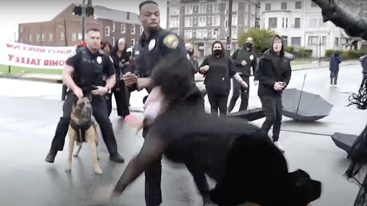 Video: Cop appears to punch protester in face, knock protester to street as demonstrators scuffle with police, refuse to disperse