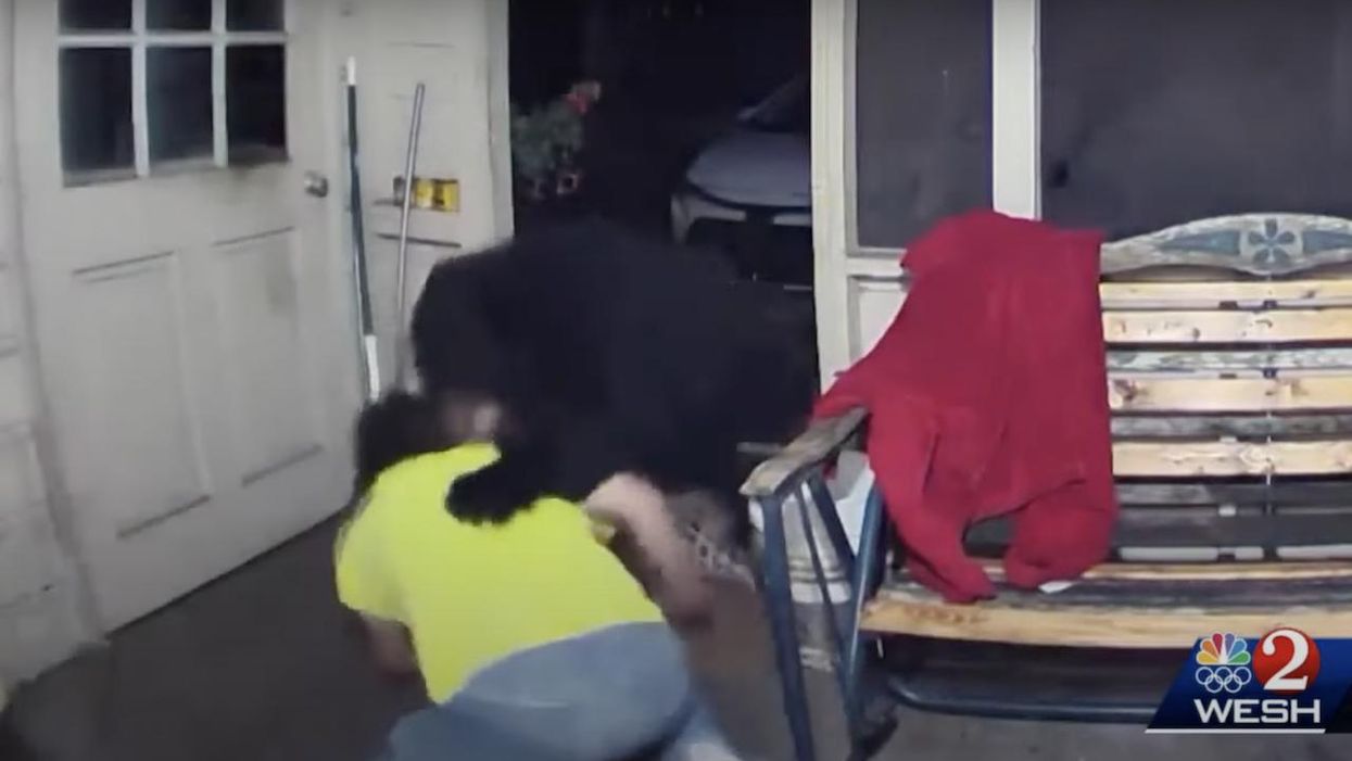 Video: Homeowner fights off black bear that jumped over porch gate and headed straight for his dog