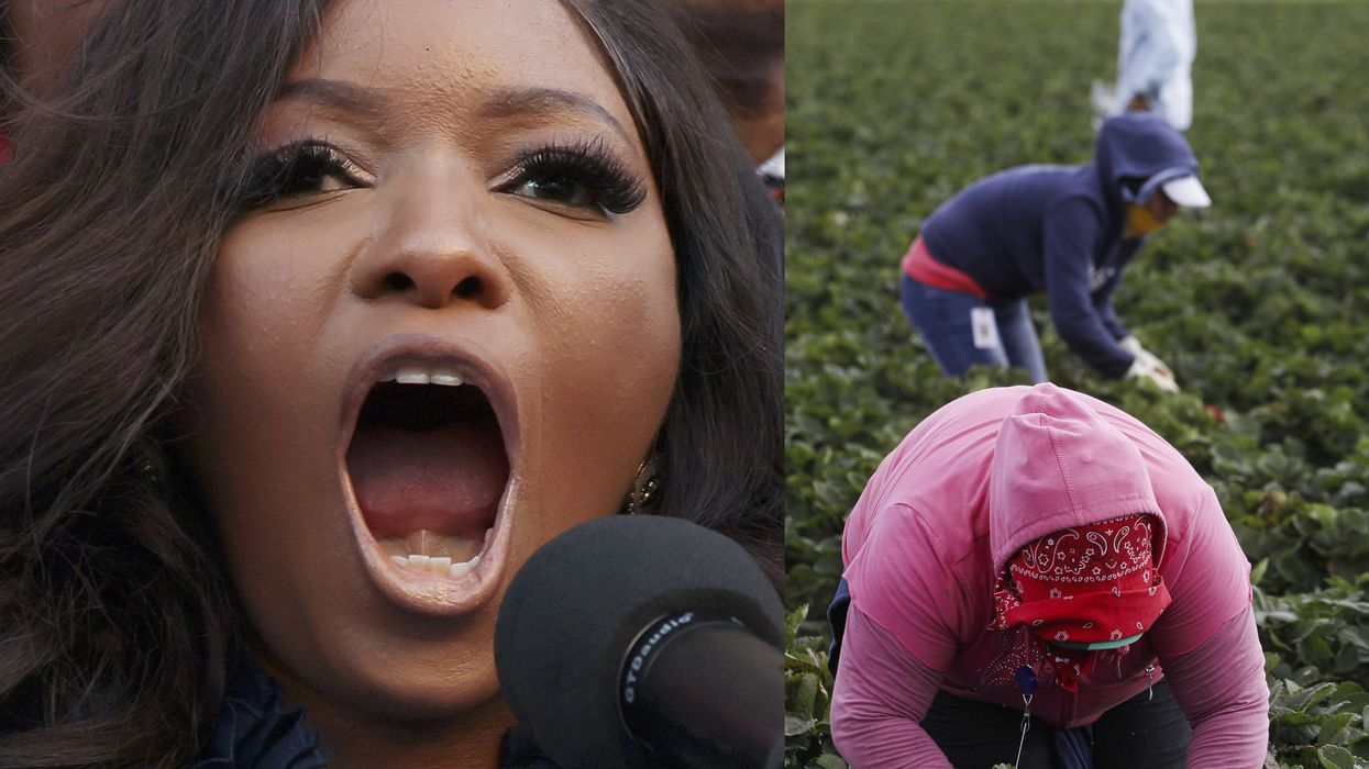 VIDEO: Jasmine Crockett says Americans are uneducated about the work illegal immigrants do: 'We done pickin' cotton!'