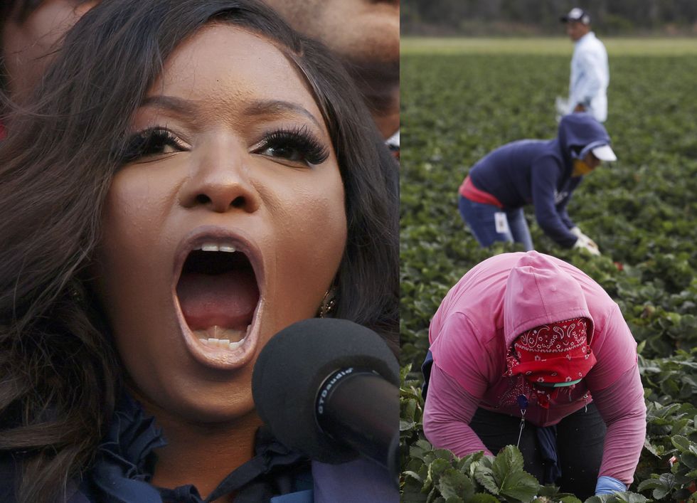 VIDEO: Jasmine Crockett says Americans are uneducated about the work illegal immigrants do: 'We done pickin' cotton!'