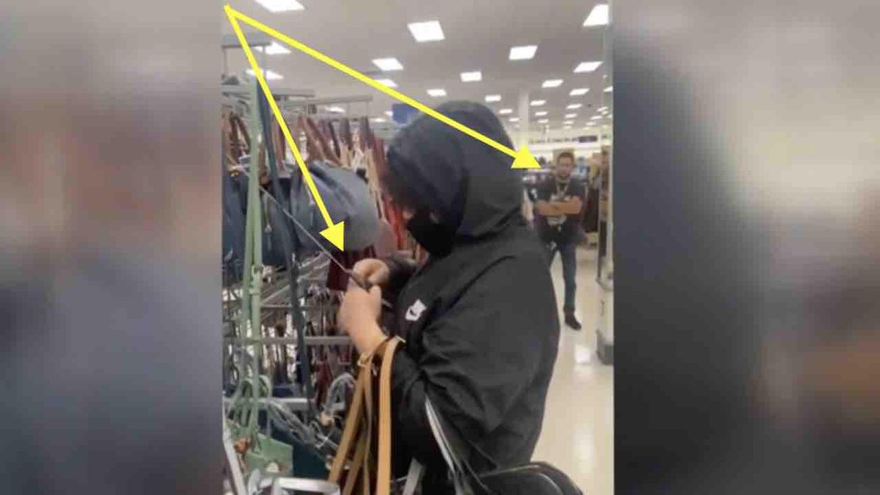 VIDEO: Masked woman uses wire cutters to steal expensive purses attached to security leashes — and one store employee just helplessly watches