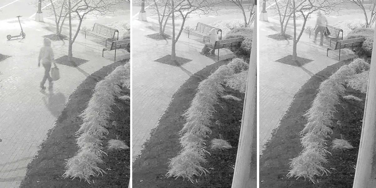 Video sleuth challenges FBI Jan. 6 pipe-bomb narrative, unearths new evidence Video sleuth challenges FBI Jan. 6 pipe-bomb narrative, unearths new evidence