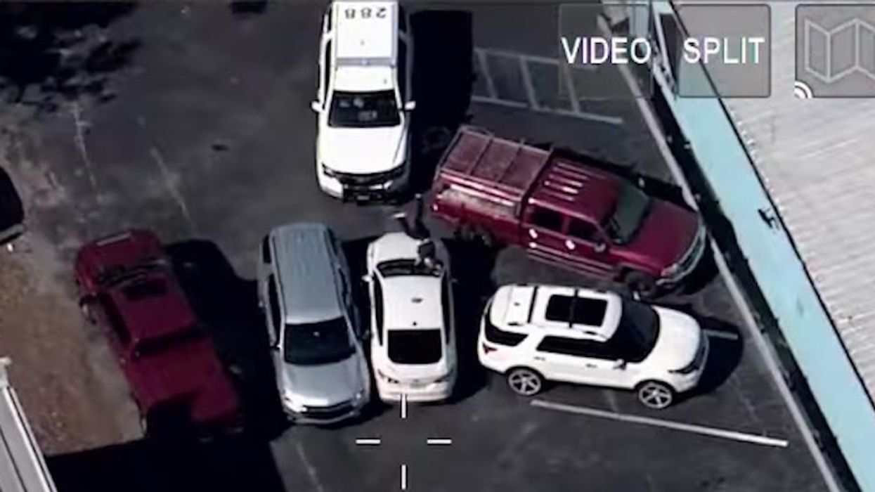 Video: Suspect plows Florida cop with stolen car, sends her airborne. Police swarm and take the driver down.