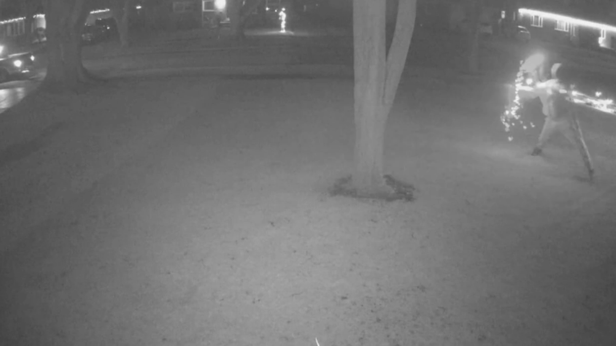 VIDEO: Suspect throws explosive into Trump supporter's home while he and his girlfriend are inside