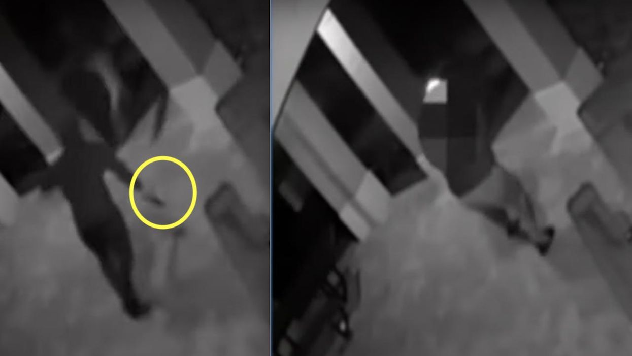 Video: Teens run off after robbing man at gunpoint; concealed carrying victim shoots one of them dead