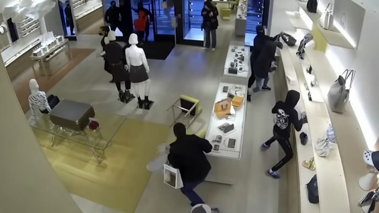 Video: Thieves raid Chicago suburb Louis Vuitton, stealing $120,000 in merchandise