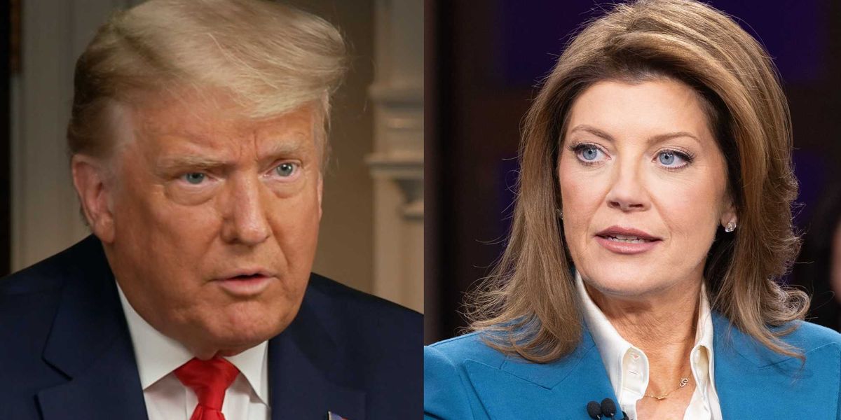 VIDEO: Trump berates interviewer over suspected WHDC shooter: 'You are a disgrace!'