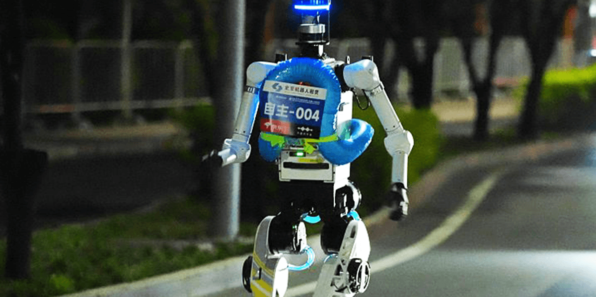 Video: Why is a Chinese robot chasing wild boars in Poland?