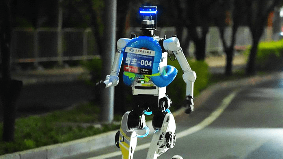 Video: Why is a Chinese robot chasing wild boars in Poland?