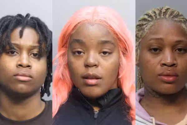 VIDEO: Woman twerks during arrest after she and 2 others allegedly stormed flight over baggage fee: 'Enjoy prison, baby'