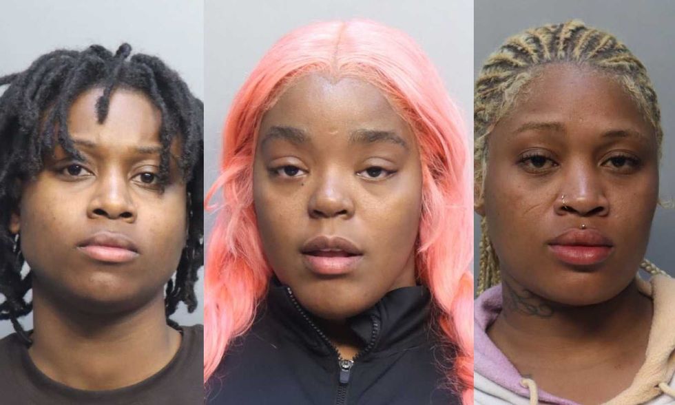 VIDEO: Woman twerks during arrest after she and 2 others allegedly stormed flight over baggage fee: 'Enjoy prison, baby'
