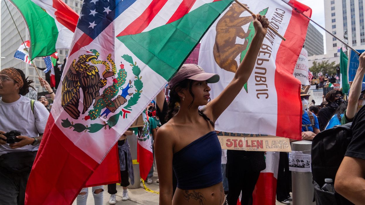 Viral video shows driver running over woman trying to stop traffic at Los Angeles No Kings protest