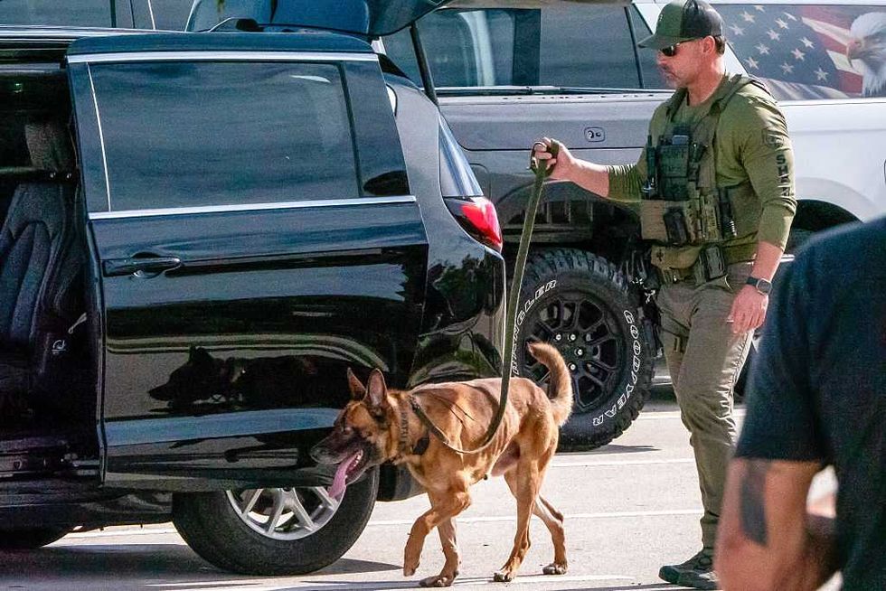 Warhound: Genetic engineering is coming to America's war dogs