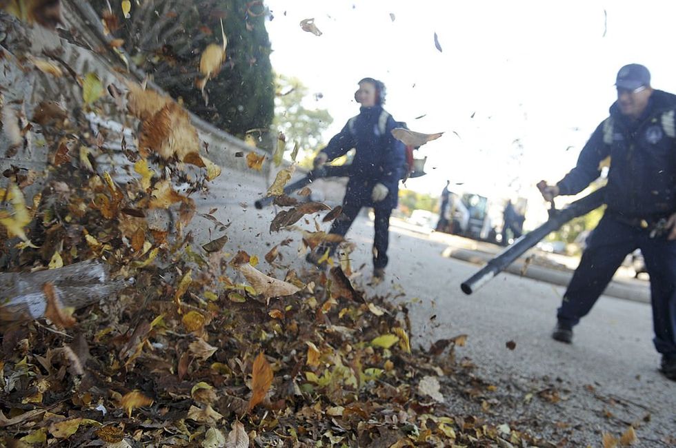 Washington Dems want people to serve jail time for using gas-powered lawn tools