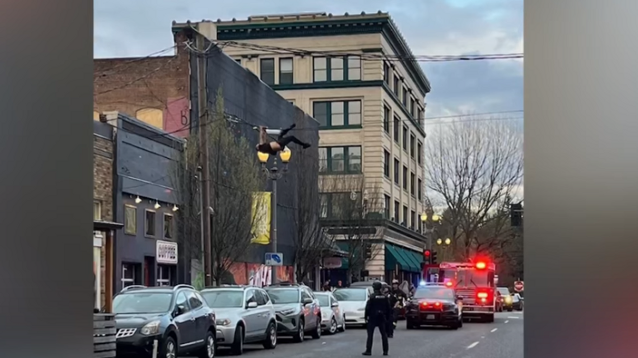 Washington man gets stuck on a telephone wire after police chase him down following an hours-long crime spree