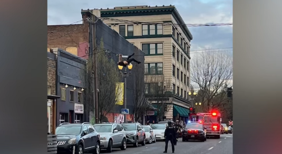 Washington man gets stuck on a telephone wire after police chase him down following an hours-long crime spree