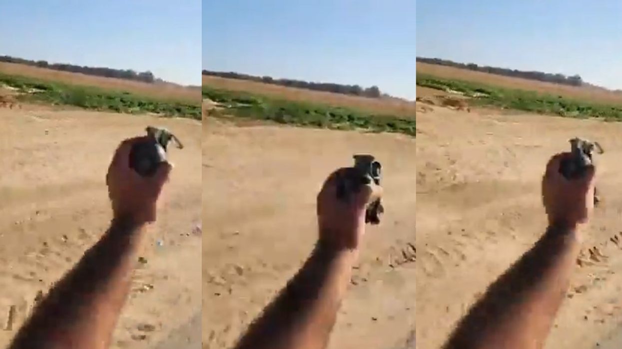 Washington Post columnist defends ex-CNN photojournalist who allegedly carried grenade for Hamas terrorists